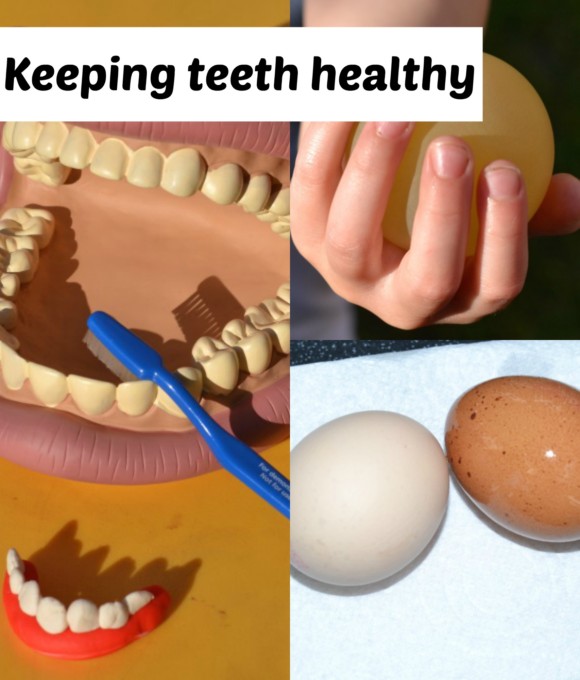How to keep teeth healthy