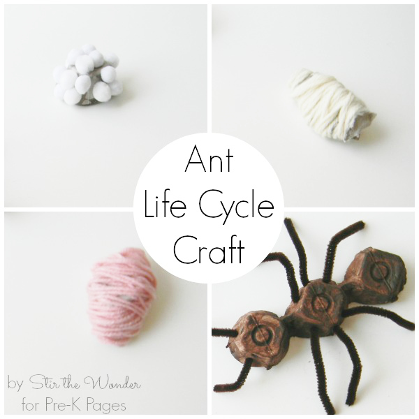 Ant-Life-Cycle-Craft