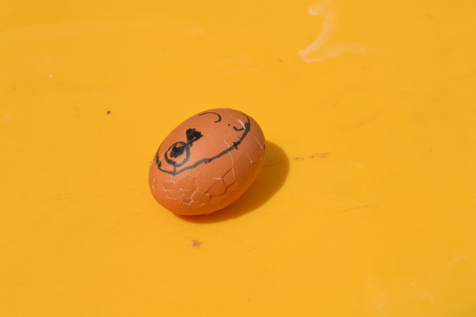 Cracked Humpty Dumpty egg after a egg drop experiment