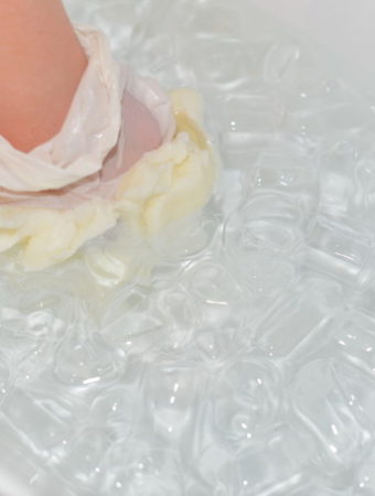 How do animals stay warm