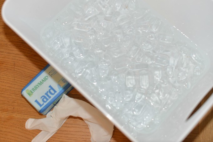 A tub of ice with a bar of lard and a latex glove at the side for a kids science experiment