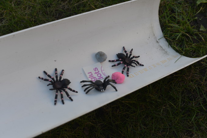 plastic spiders inside a half pip with a pack of glue dots for a science activity about Incy Wincy Spider