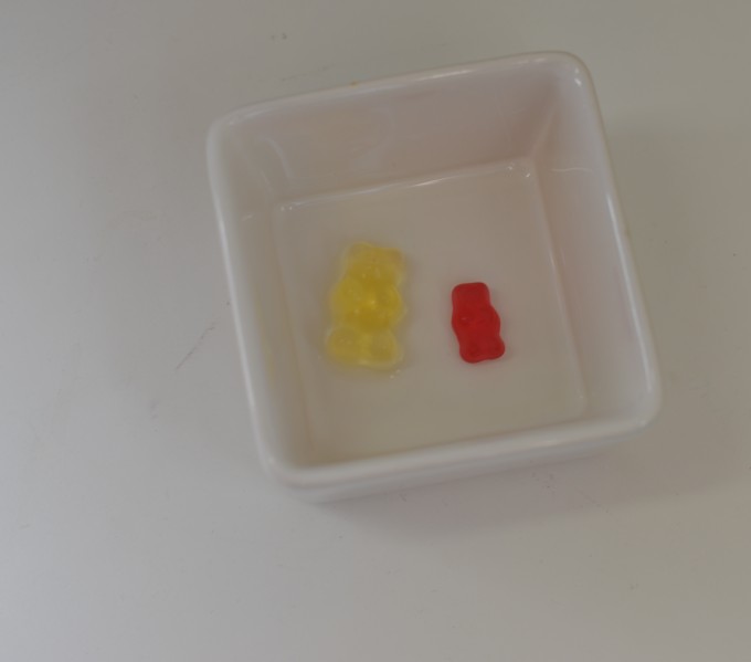 Gummy sweets soaked in water so they expand.