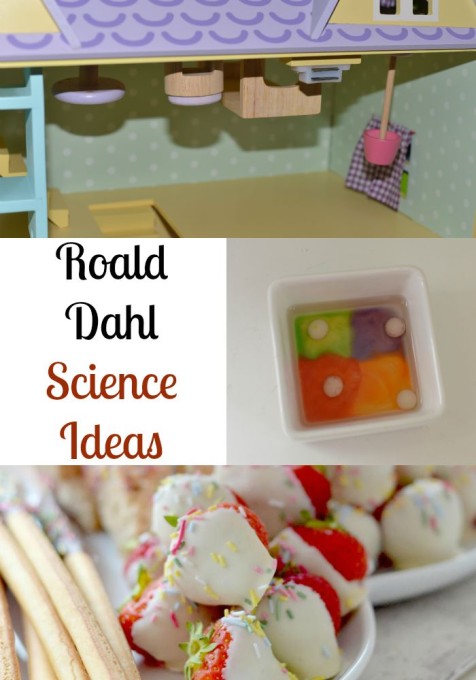 Roald Dahl activity ideas