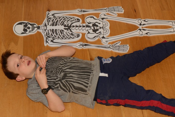 skeleton puzzle with a child lying next to it