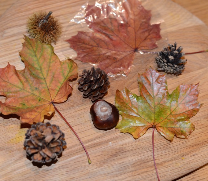 How to Preserve Leaves - Easy Fall Science For Kids