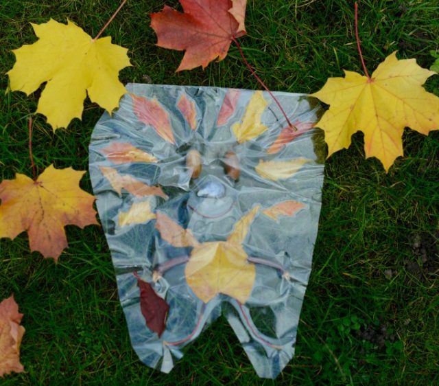 How To Preserve Leaves Easy Fall Science For Kids how-to-preserve-leaves-easy-fall-science-for-kids