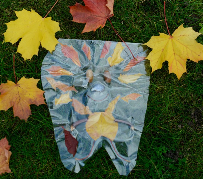 Contact paper and leaf people - How to preserve leaves with contact paper