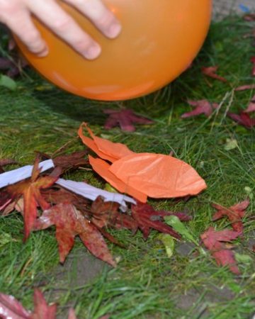 Image of a balloon charged with static electricity picking up tissue paper leaves