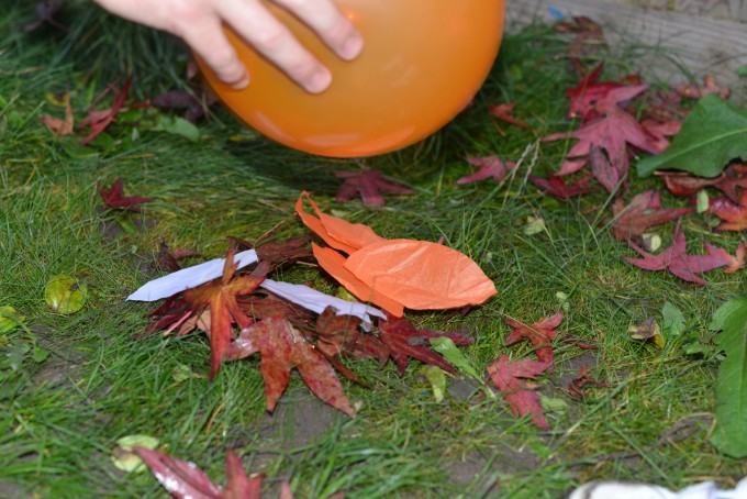 Image of a balloon charged with static electricity picking up tissue paper leaves