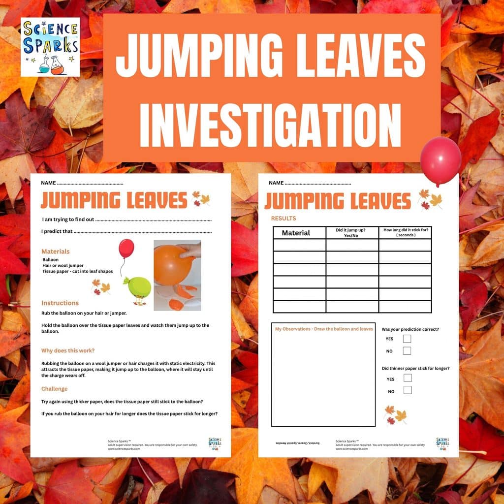 Jumping leaves, autumn inspired static electricity investigation