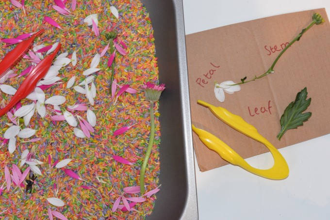 Flower sensory tray - sensory science for toddlers