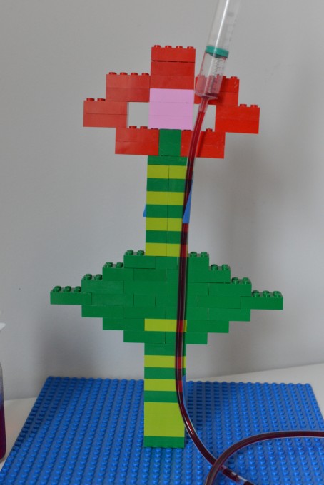transpiration model made with lego and a syringe to show how water is sucked up the plant.