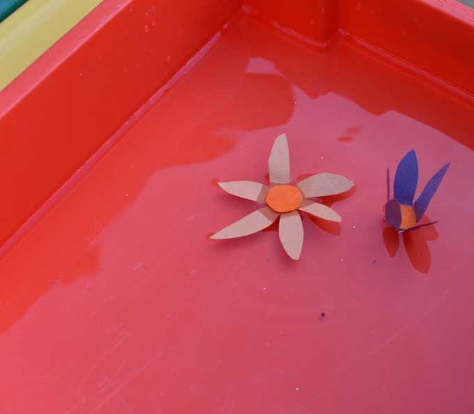 Capillary action experiment using sugar paper flowers with the petals folded up. The petals then open when the flower is put onto the surface of water because the paper absorbs water by capillary action.