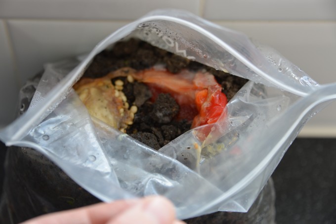 Rotting pepper
