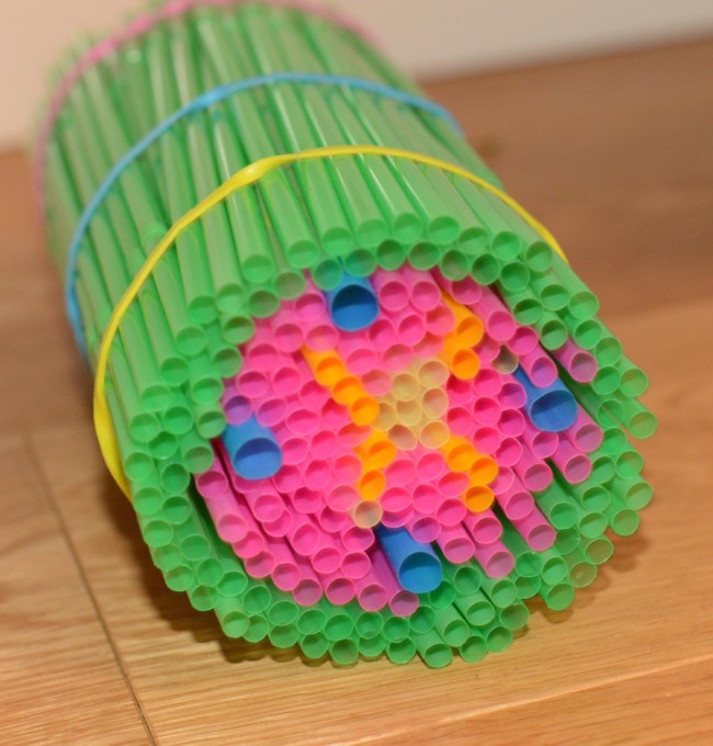 model of a plant stem made with different coloured straws