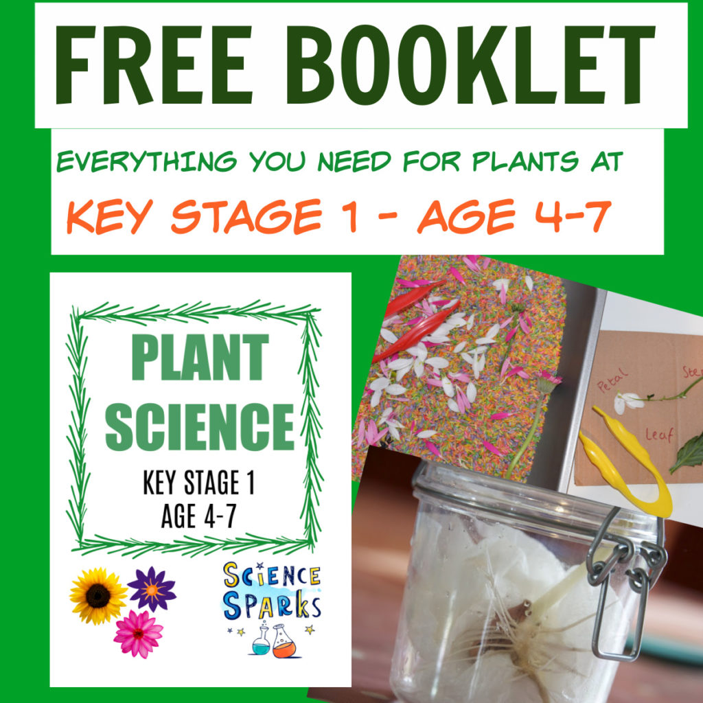 FREE PLANT SCIENCE FOR KEY STAGE 1 BOOKLET