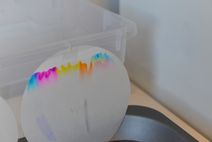 filter paper chromatography