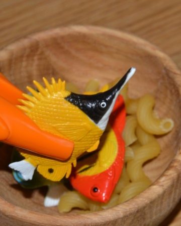 a small bowl of pasta shapes, plastic fish and tweezers for a natural selection activity