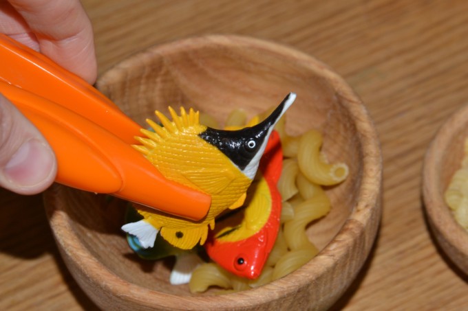 a small bowl of pasta shapes, plastic fish and tweezers for a natural selection activity