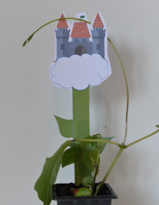 Jack and the beanstalk printable - a bean plant with a picture of a giants castle behind it