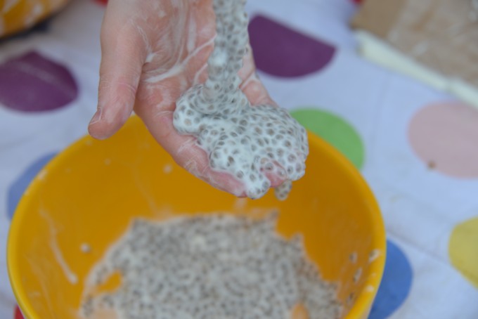 Chia Seed Slime - no borax slime recipe