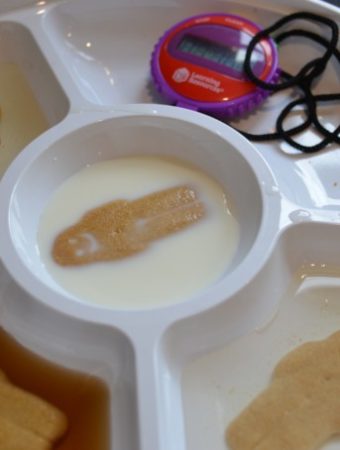 Gingerbread experiment