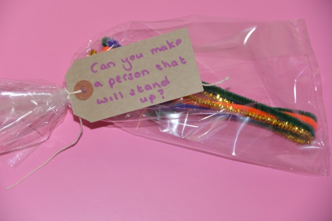 small plastic bag containing pipe cleaners for a science challenge