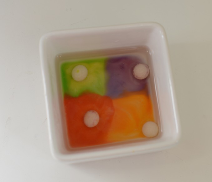 Image of skittles in water with the colours spread through the water - candy science for kids