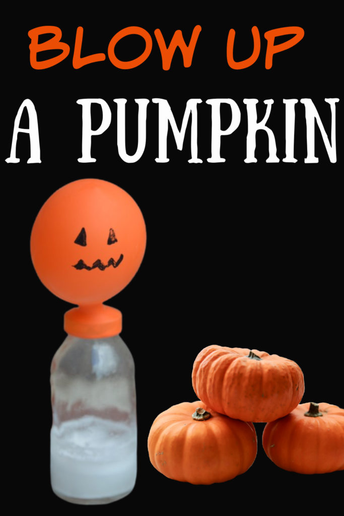 Blow up a pumpkin balloon for a Halloween science experiment