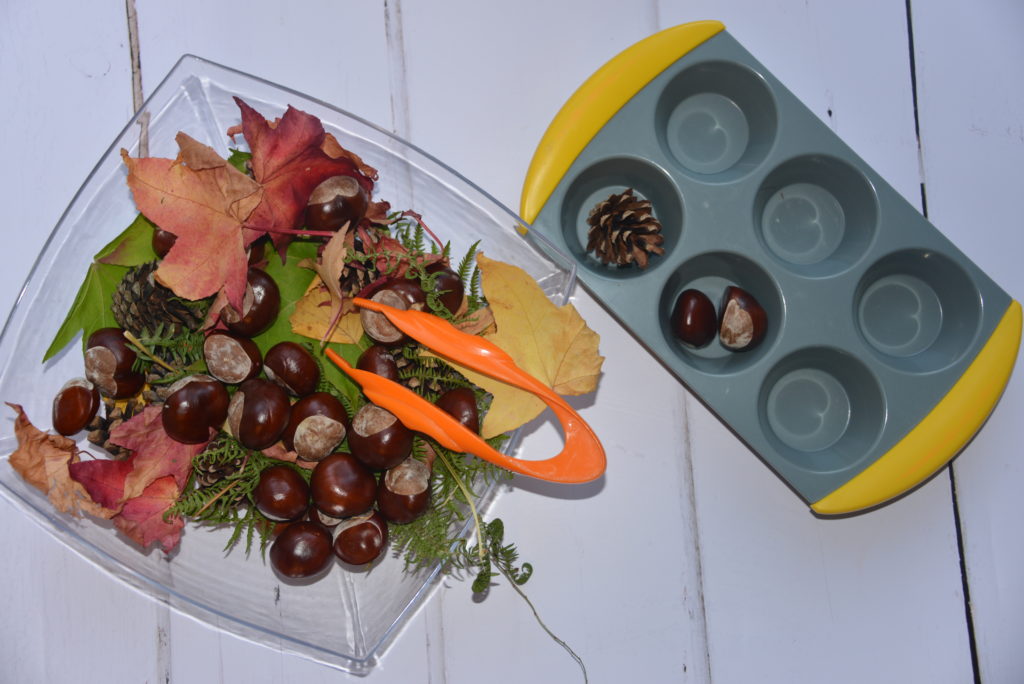 autumn sorting tray with leaves, conkers, pine cones and tweezers