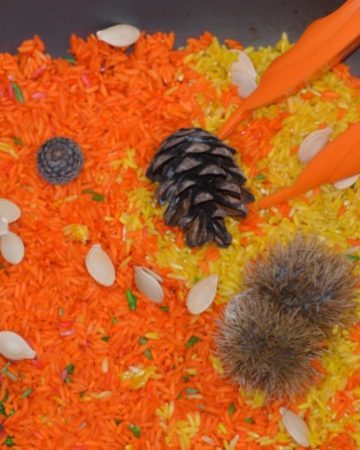 Autumn Sensory Tray