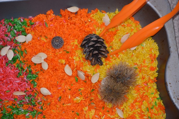 coloured rice, pumpkin seeds and pine cones in a rice tray