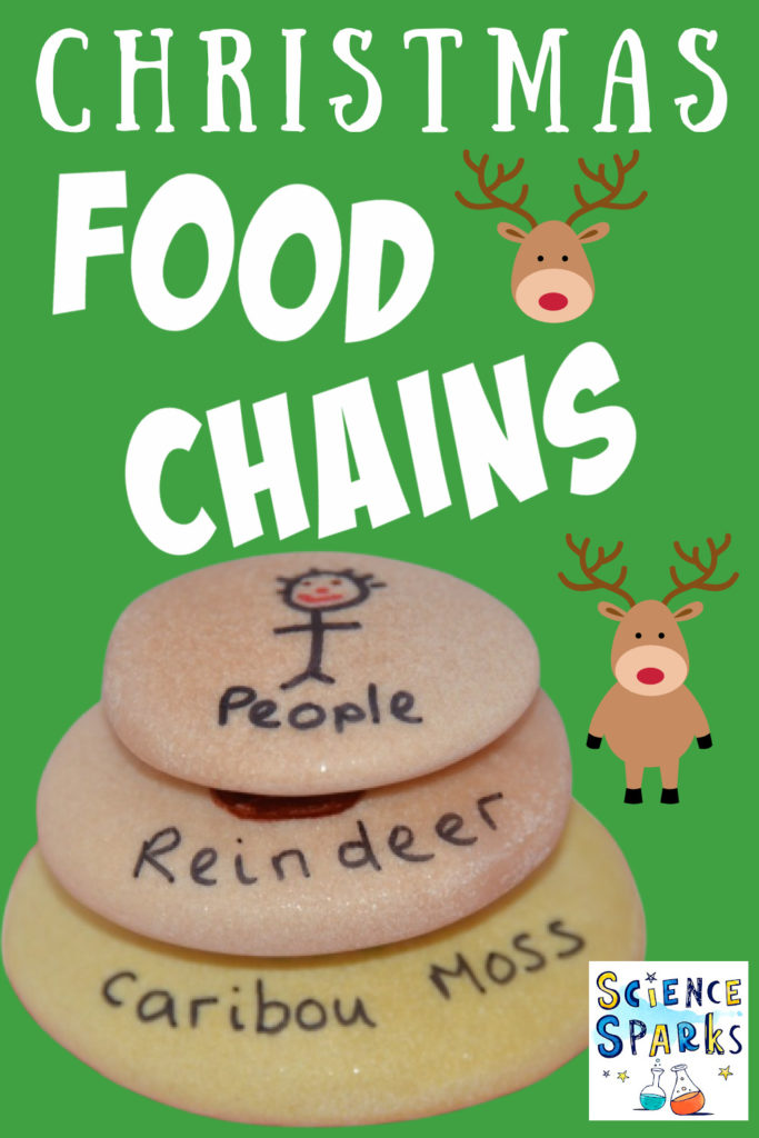 Christmas Food Chain made with stones. Moss - reindeer - people