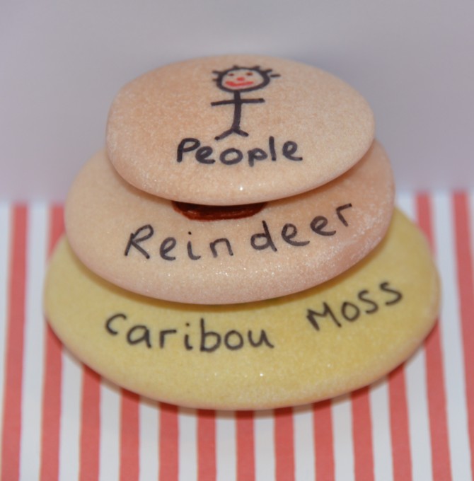 Reindeer food chain
