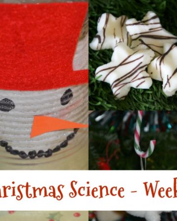 ChristmasScienceWeek3