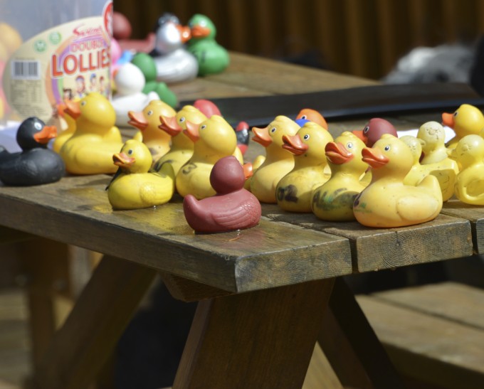 Deerpark duck race