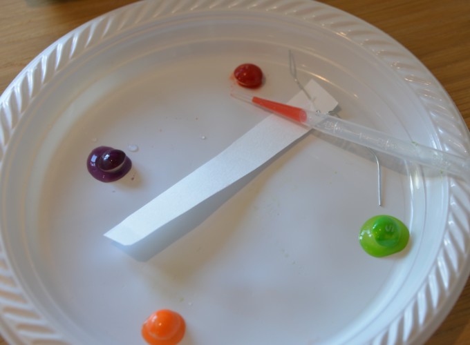 Candy Chromatography - chemistry experiment for kids 