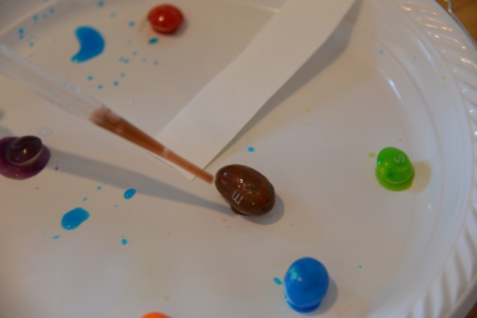 Water being dropped onto an M & M as party of a candy chromatography experiment