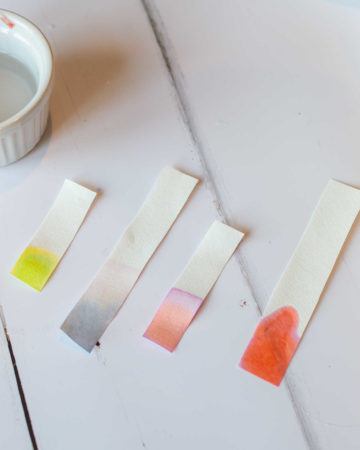 Snackable Science Candy Chromatography