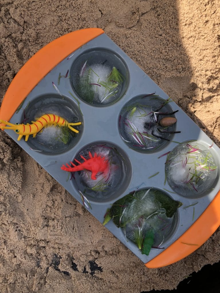 bugs and leaves in ice for a kids science experiment