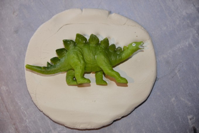 Make fossils for a Charles Darwin activity