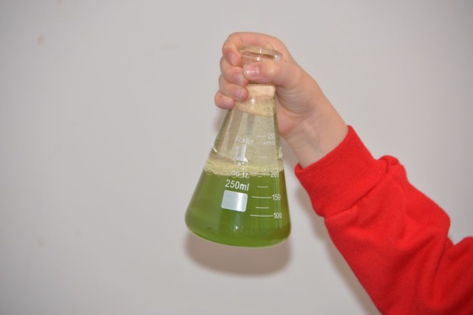 Green potion in a conical flask for Halloween