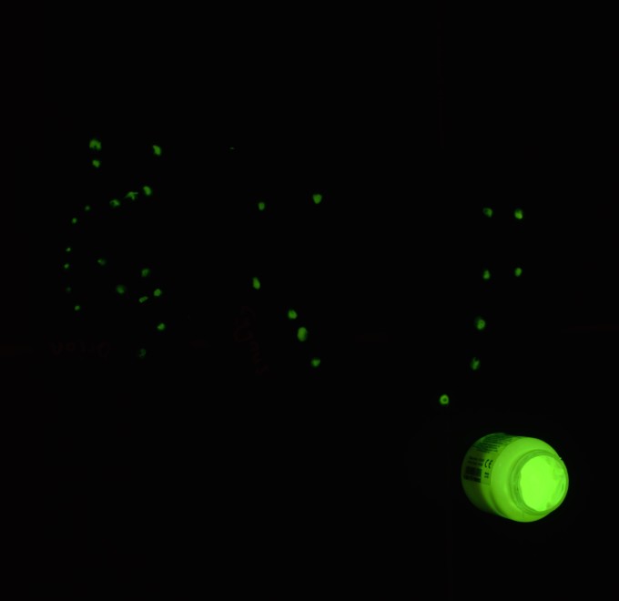 Glow in the dark constellations -how to find the North Star