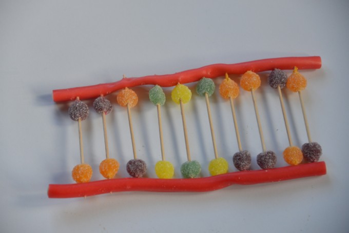 Candy DNA model