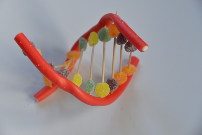 Candy DNA model - science for kids