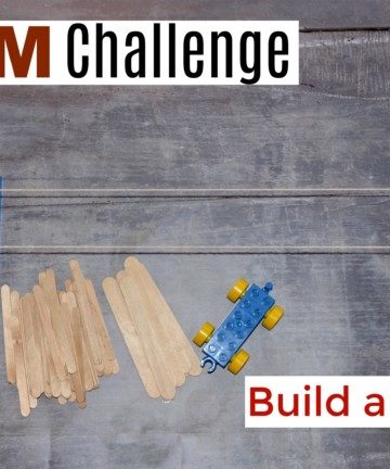 Build a Bridge STEM Challenge