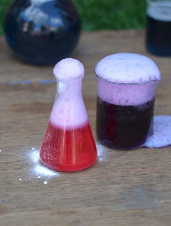 red cabbage indicator