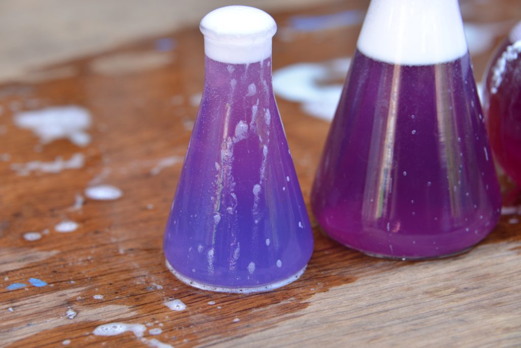 Purple and blue drink in an Erlenmeyer flask made with red cabbage indicator, baking soda and vinegar
