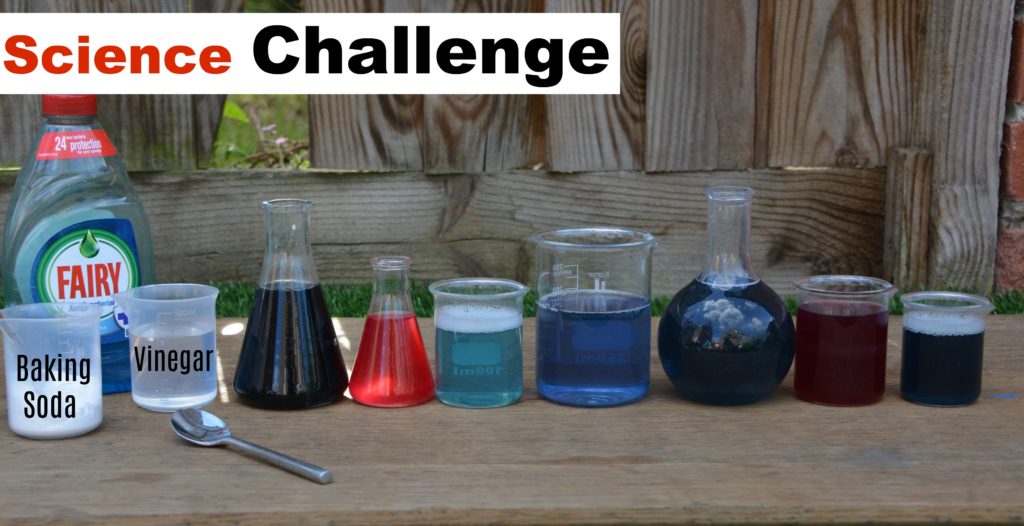 Red cabbage indicator challenge